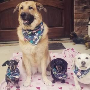 Meet your Posher, Brenna